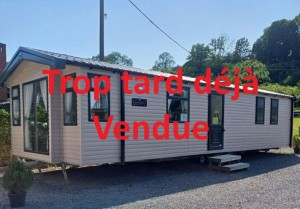 Swift Burgundy 37/12/2